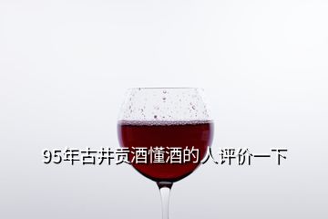 95年古井貢酒懂酒的人評價一下