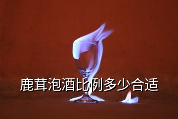 鹿茸泡酒比例多少合適