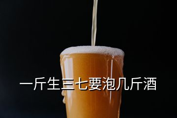 一斤生三七要泡幾斤酒