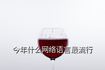 今年什么網(wǎng)絡(luò)語(yǔ)言最流行