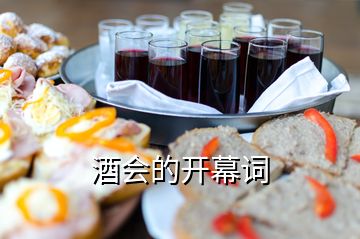 酒會(huì)的開幕詞