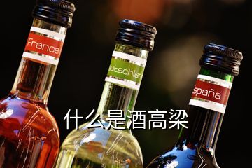 什么是酒高梁