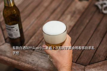 有款白酒叫什么xx小二來著上次和同學(xué)聚會喝著夠勁求名字挖