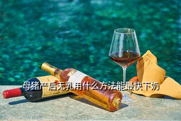 母豬產(chǎn)后無乳用什么方法能最快下奶