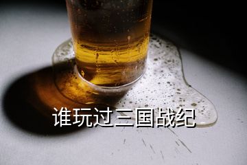 誰玩過三國戰(zhàn)紀