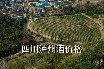 四川瀘州酒價格