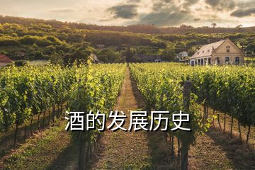 酒的發(fā)展歷史