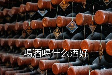 喝酒喝什么酒好