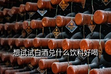 想試試白酒兌什么飲料好喝