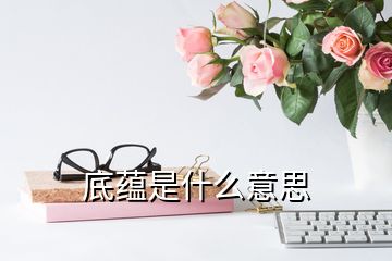 底蘊是什么意思