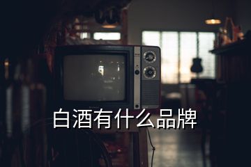 白酒有什么品牌