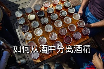 如何從酒中分離酒精