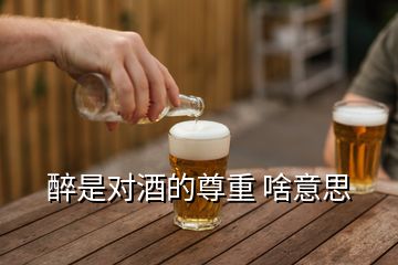 醉是對酒的尊重 啥意思