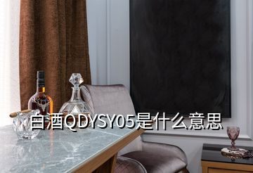 白酒QDYSY05是什么意思