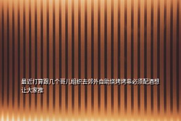 最近打算跟幾個哥兒組織去郊外自助燒烤烤串必須配酒想讓大家推