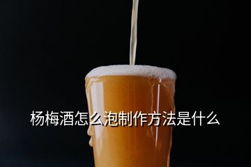 楊梅酒怎么泡制作方法是什么