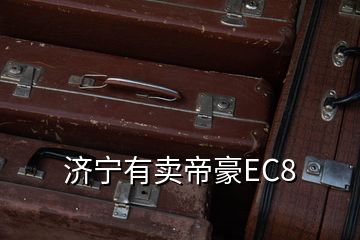 濟(jì)寧有賣帝豪EC8