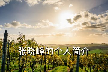 張曉峰的個(gè)人簡(jiǎn)介