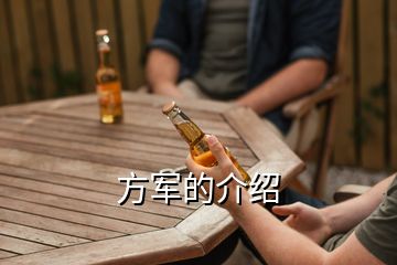 方軍的介紹