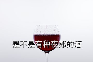 是不是有種夜郎的酒