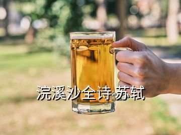 浣溪沙全詩(shī) 蘇軾