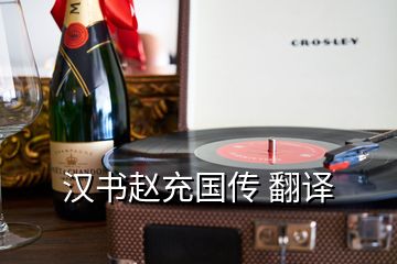 漢書(shū)趙充國(guó)傳 翻譯