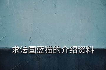 求法國藍(lán)貓的介紹資料