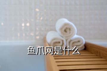 魚爪網(wǎng)是什么