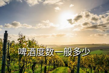 啤酒度數(shù)一般多少