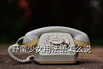 野蠻少女用法語怎么說