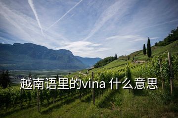 越南語里的vina 什么意思