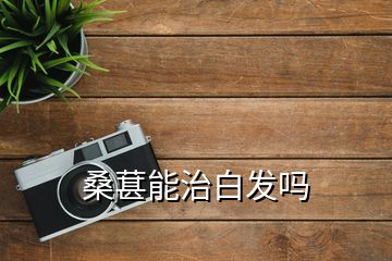 桑葚能治白發(fā)嗎