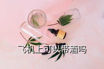 飛機(jī)上可以帶酒嗎