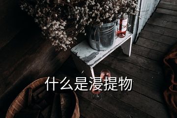 什么是浸提物