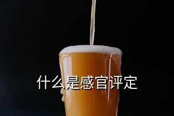 什么是感官評定