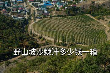 野山坡沙棘汁多少錢(qián)一箱