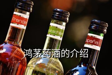 鴻茅藥酒的介紹