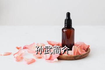 孫武簡(jiǎn)介