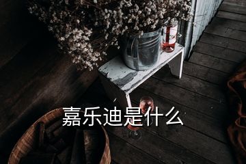 嘉樂(lè)迪是什么