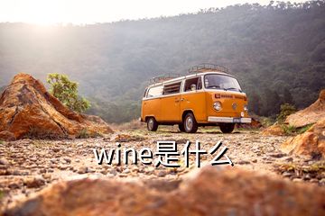 wine是什么