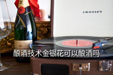 釀酒技術金銀花可以釀酒嗎