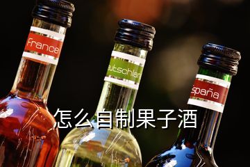 怎么自制果子酒