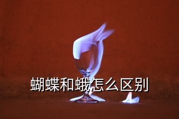 蝴蝶和蛾怎么區(qū)別