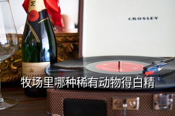 牧場(chǎng)里哪種稀有動(dòng)物得白精