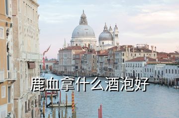 鹿血拿什么酒泡好