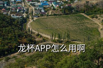 龍杯APP怎么用啊