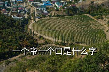 一個帝一個口是什么字