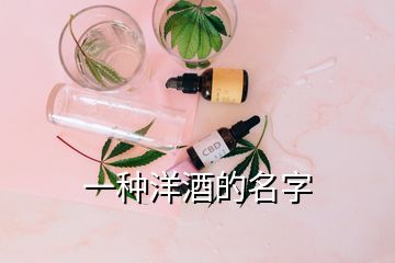 一種洋酒的名字