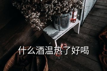 什么酒溫熱了好喝