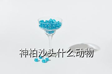 神柏沙頭什么動物